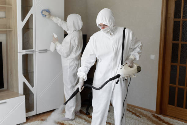 Best Attic Mold Removal  in Juarez, TX